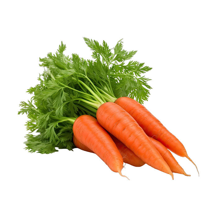 Sweet Fresh Carrots - 5pcs