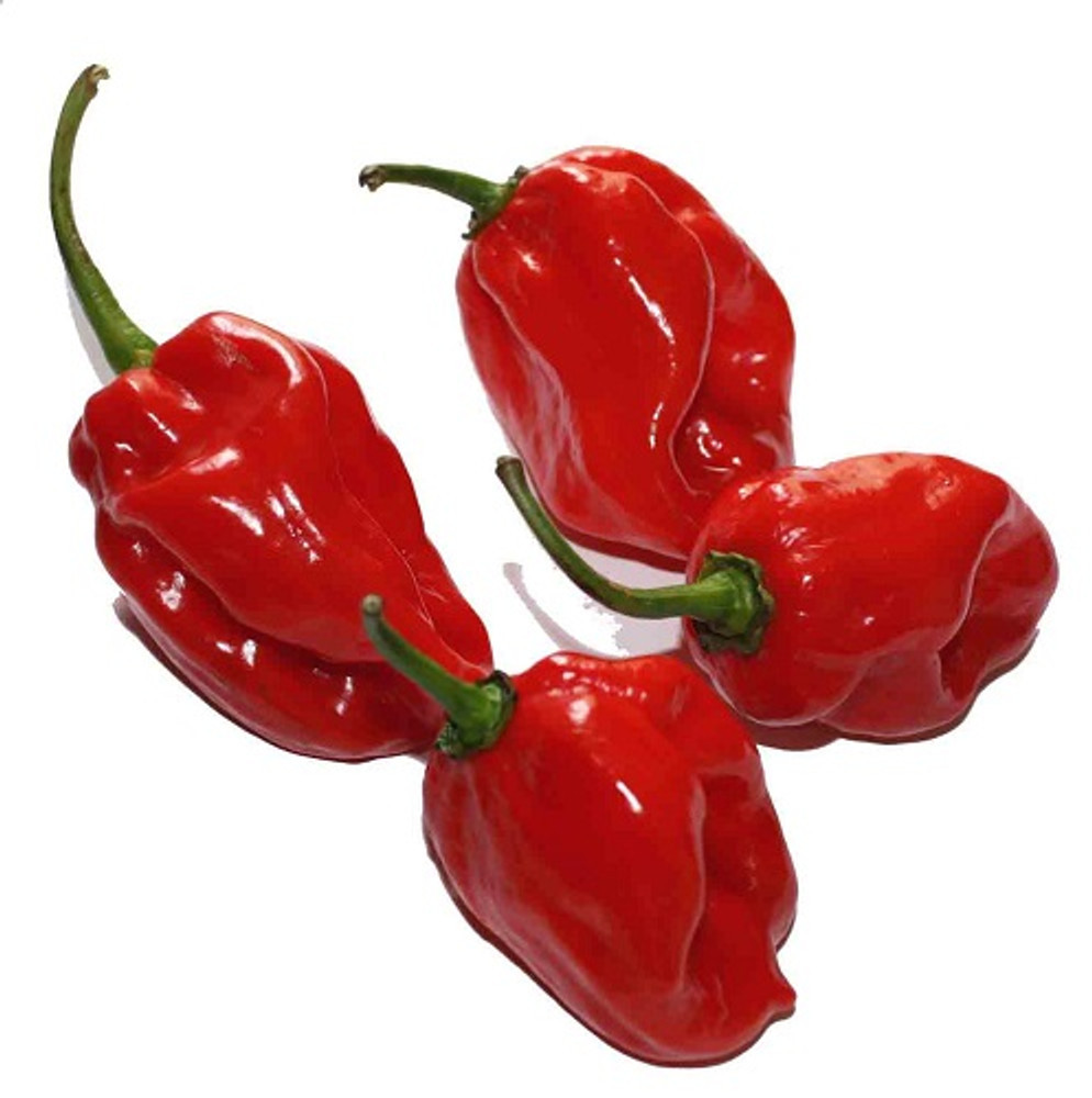 Fresh Red Hot Pepper - From (2kg)