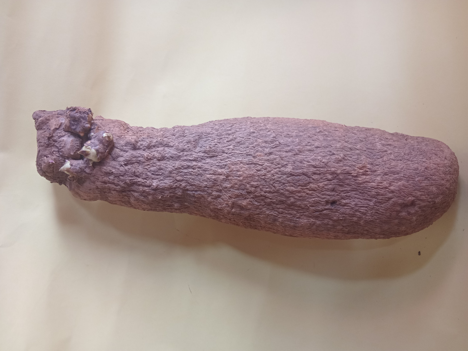 Yam