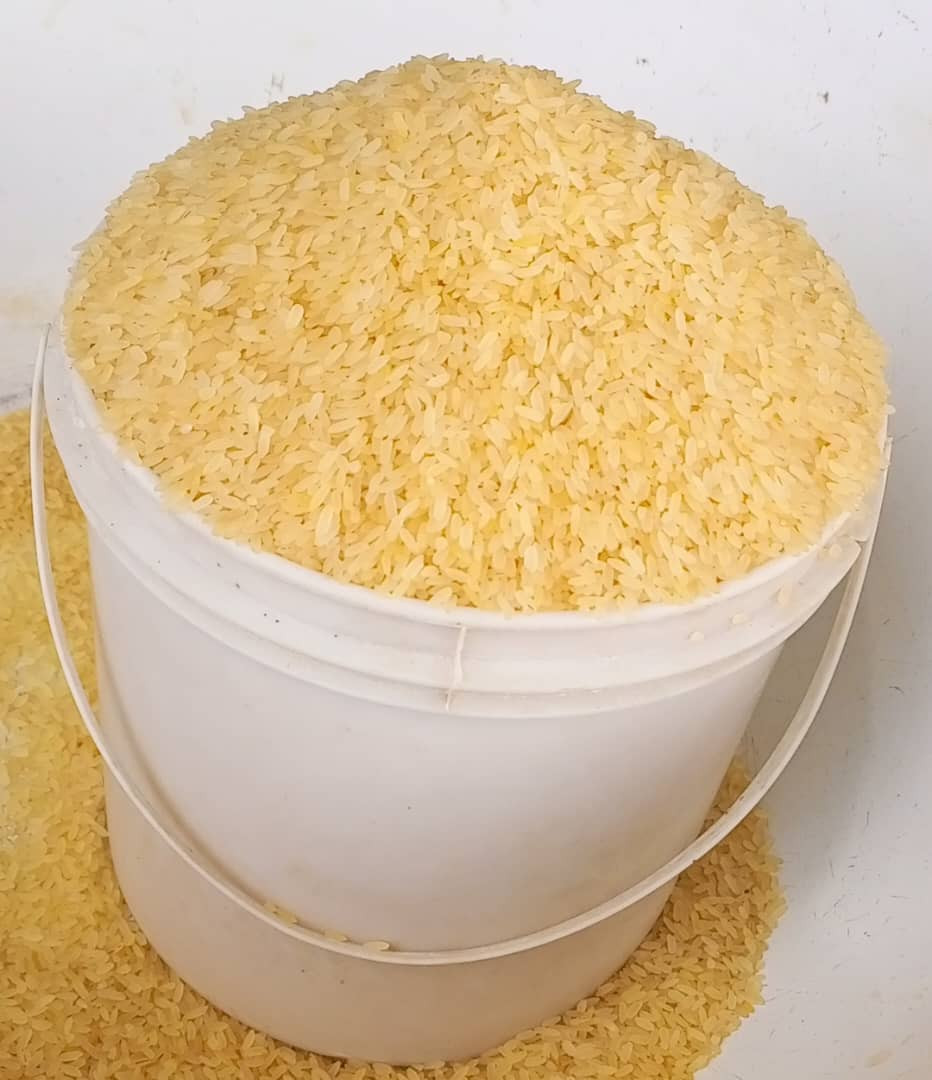 Big Bull Rice - (Paint Rubber)